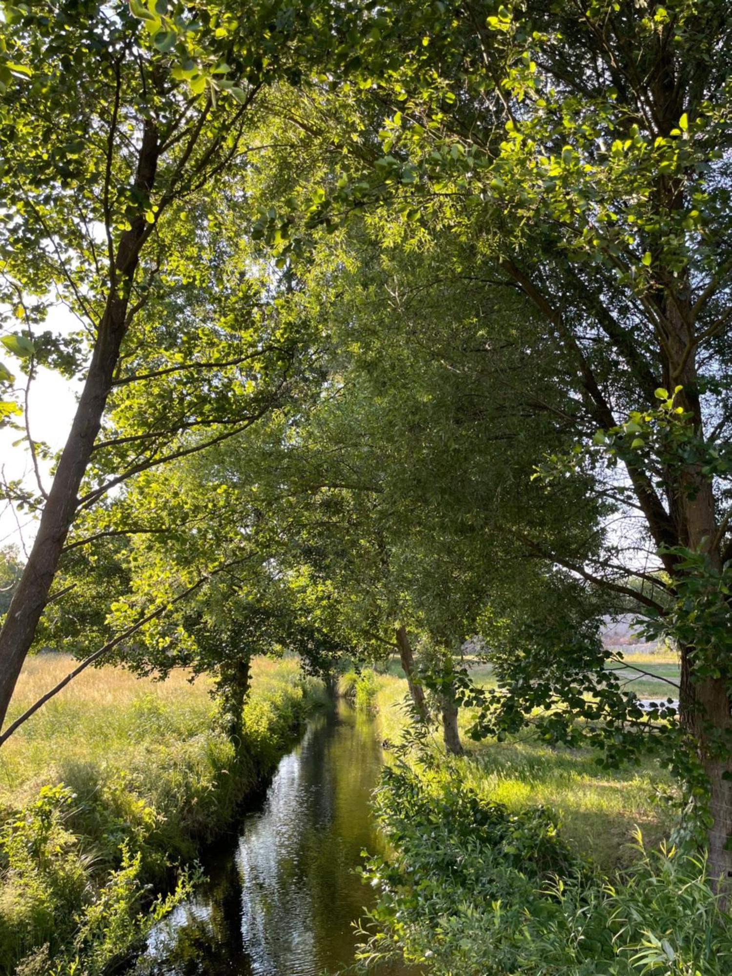 Guesthouse With 3 Apartments, Just Outside Berlin, Near To Tesla Burig Bagian luar foto